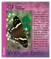 Photo of a Banded Peacock Butterfly taken at the Chan Chich Lodge in Belize